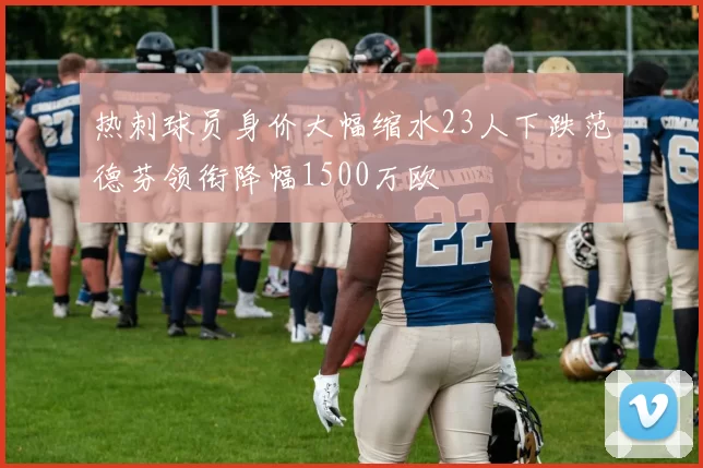 热刺球员身价大幅缩水23人下跌范德芬领衔降幅1500万欧